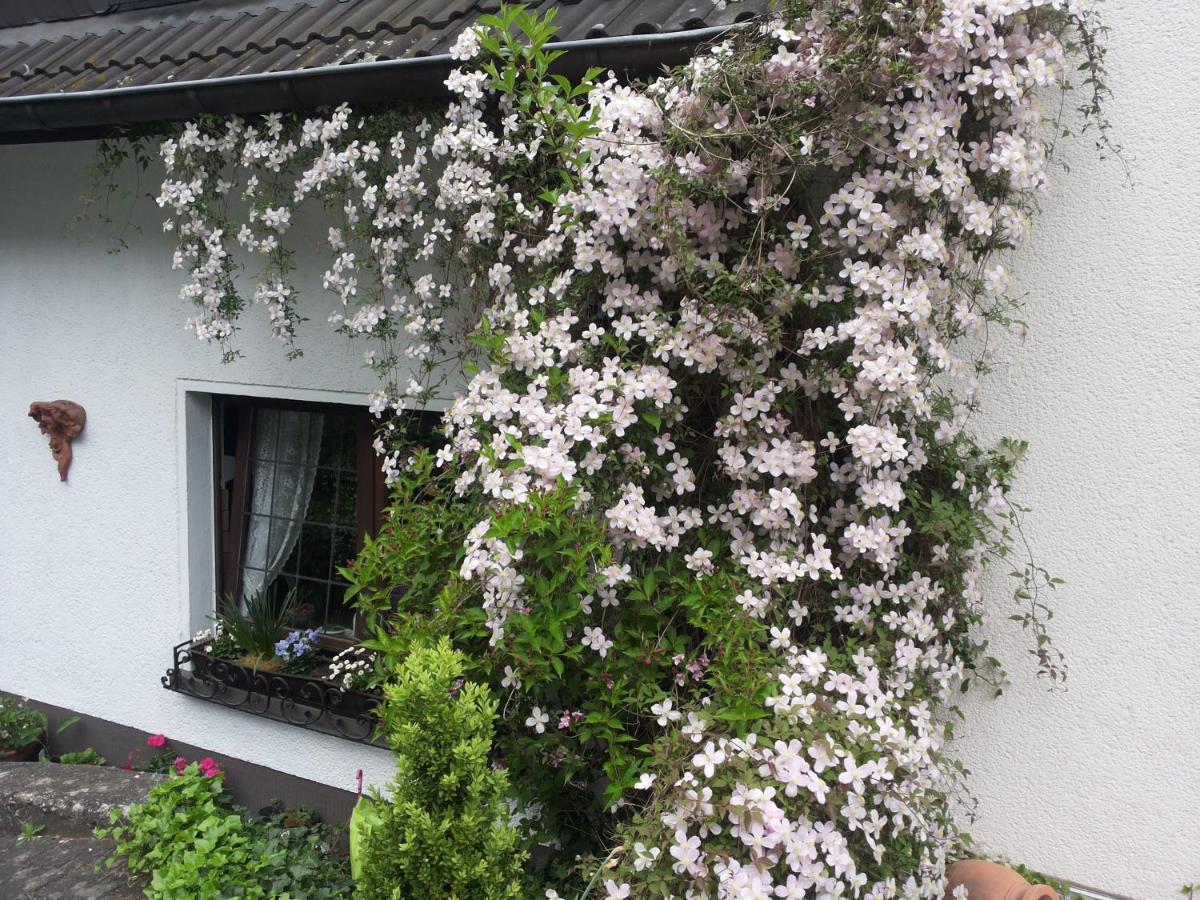 Gaestezimmer Am Huestert Adenau Extérieur photo